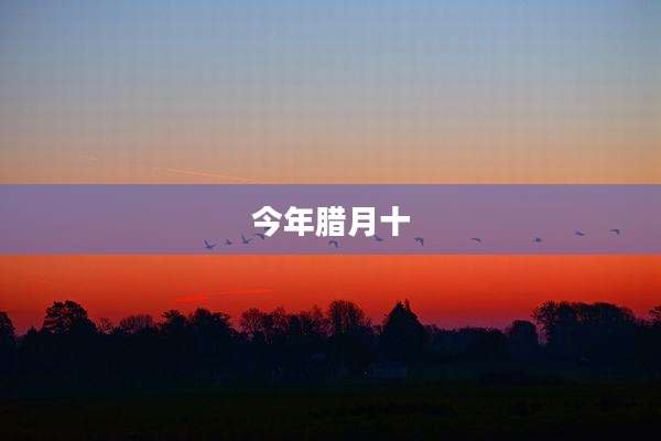 今年腊月十