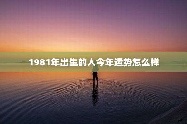 1981年出生的人今年运势怎么样