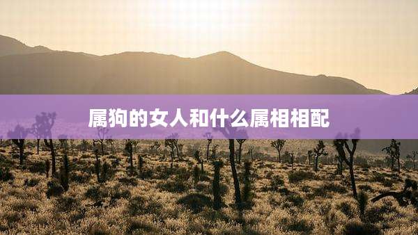 属狗的女人和什么属相相配
