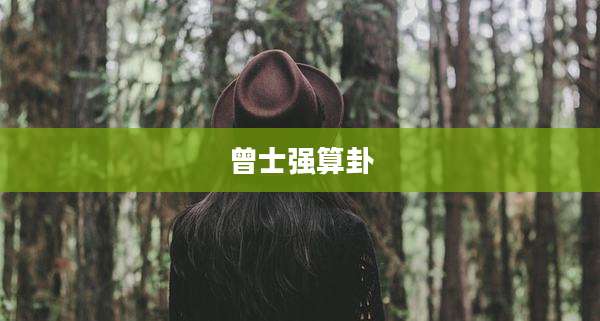 曾士强算卦