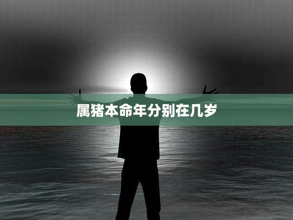 属猪本命年分别在几岁
