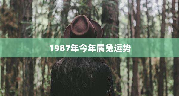 1987年今年属兔运势