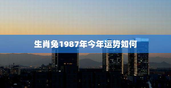 生肖兔1987年今年运势如何