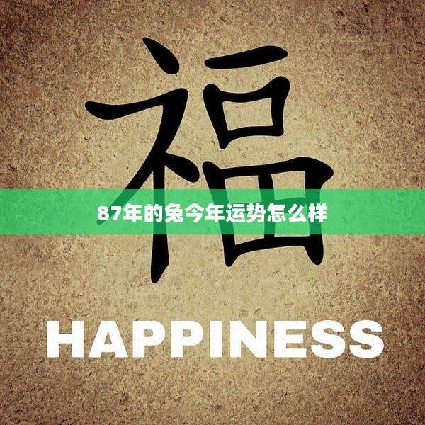 87年的兔今年运势怎么样