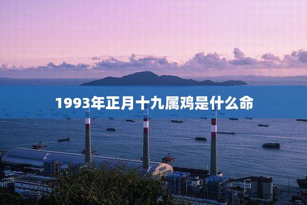 1993年正月十九属鸡是什么命