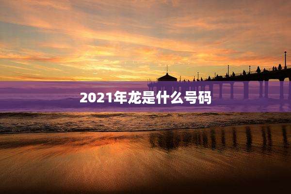 2021年龙是什么号码
