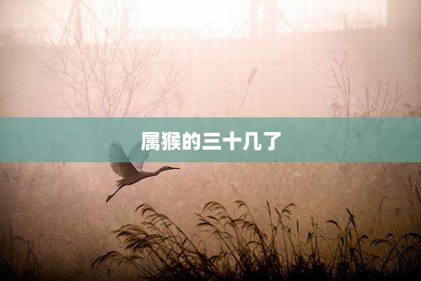 属猴的三十几了