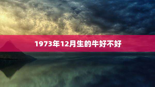 1973年12月生的牛好不好