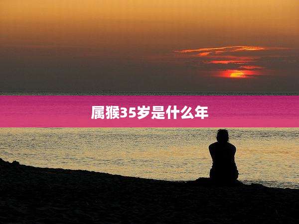 属猴35岁是什么年