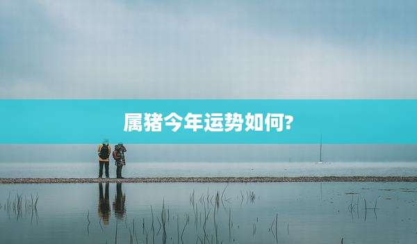 属猪今年运势如何?