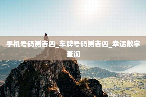 手机号码测吉凶_车牌号码测吉凶_幸运数字查询