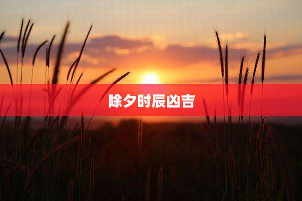 除夕时辰凶吉