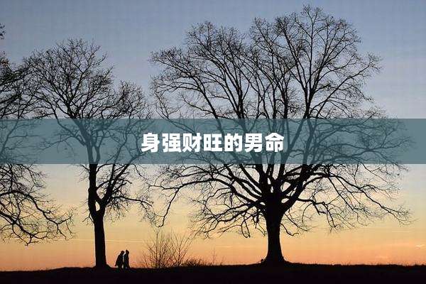 身强财旺的男命