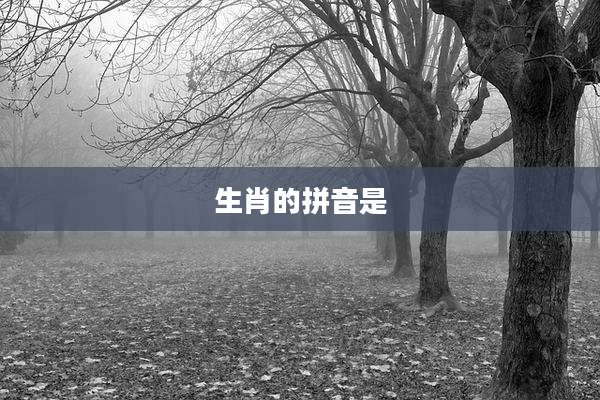 生肖的拼音是