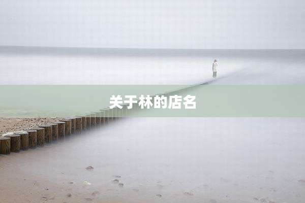 关于林的店名