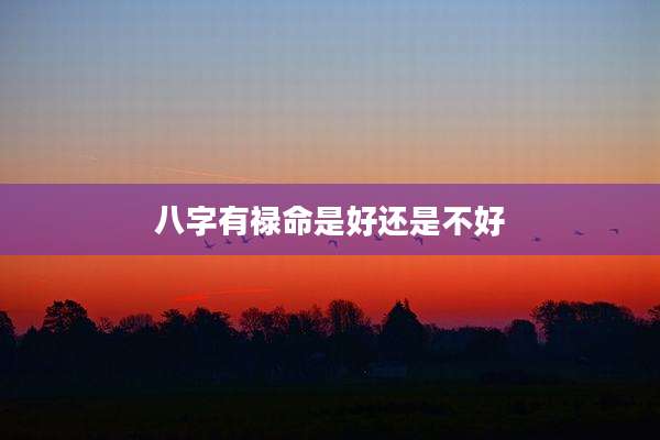 八字有禄命是好还是不好