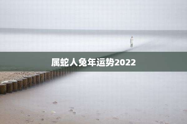 属蛇人兔年运势2022