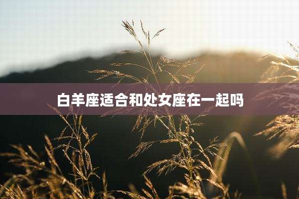 白羊座适合和处女座在一起吗