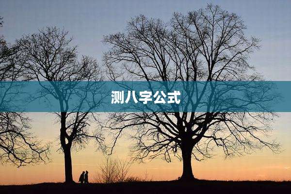 测八字公式