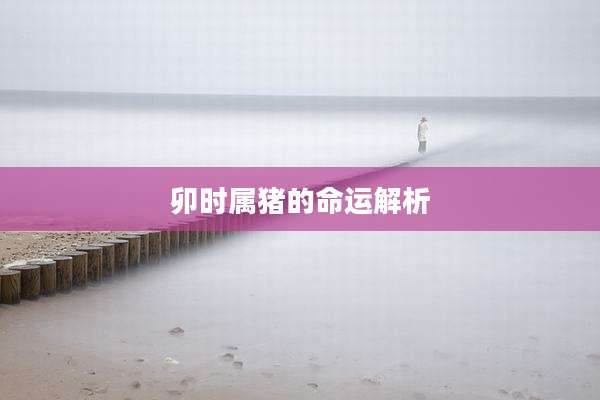 卯时属猪的命运解析