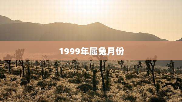 1999年属兔月份
