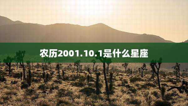 农历2001.10.1是什么星座