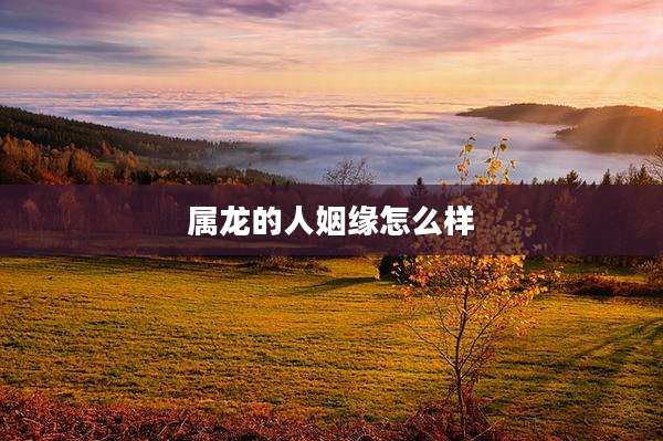 属龙的人姻缘怎么样