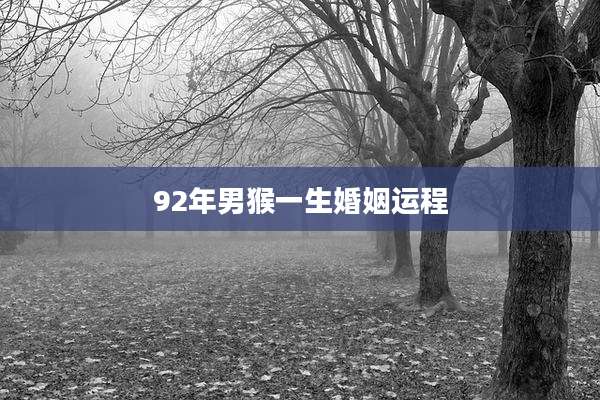 92年男猴一生婚姻运程
