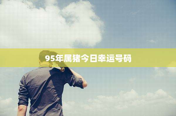 95年属猪今日幸运号码