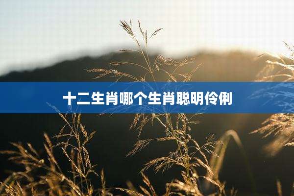 十二生肖哪个生肖聪明伶俐