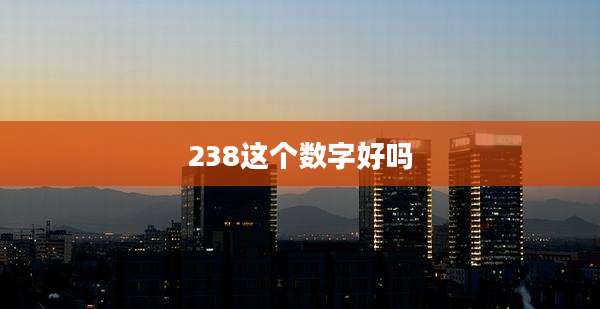 238这个数字好吗