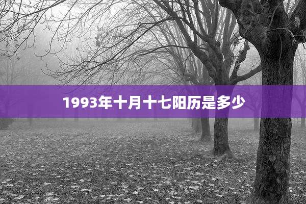 1993年十月十七阳历是多少