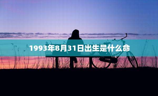 1993年8月31日出生是什么命
