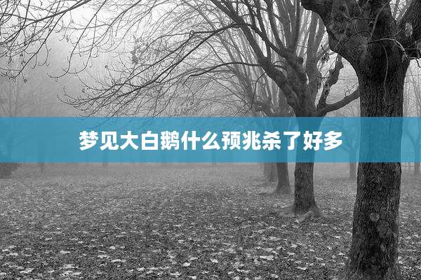 梦见大白鹅什么预兆杀了好多