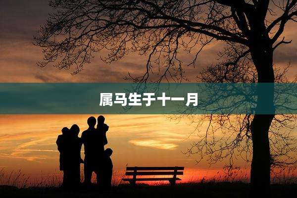 属马生于十一月