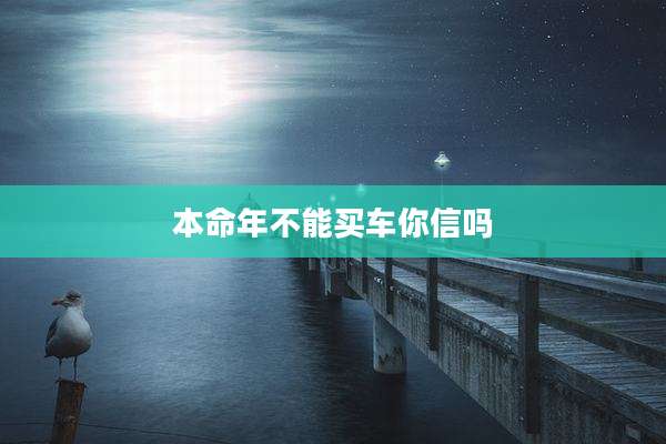 本命年不能买车你信吗