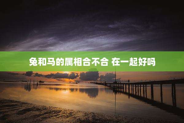 兔和马的属相合不合 在一起好吗