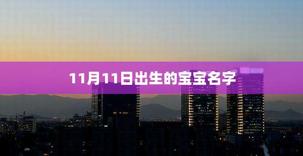 11月11日出生的宝宝名字