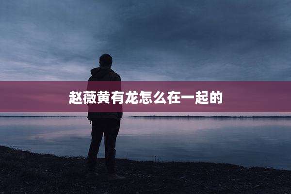赵薇黄有龙怎么在一起的