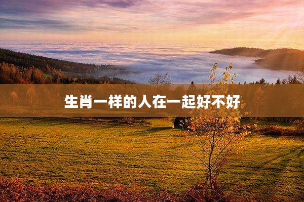 生肖一样的人在一起好不好