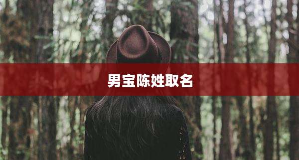 男宝陈姓取名