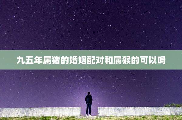 九五年属猪的婚姻配对和属猴的可以吗