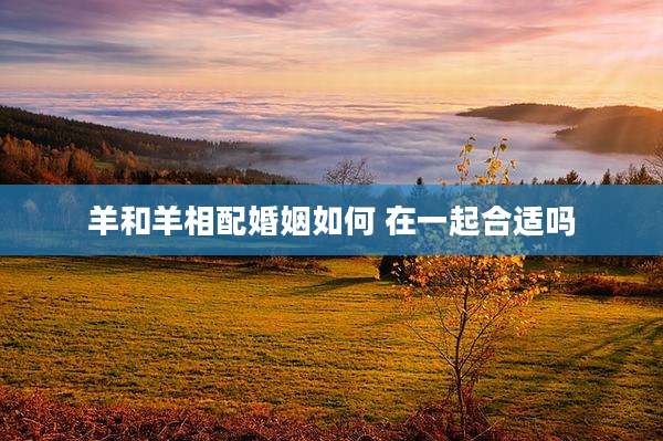 羊和羊相配婚姻如何 在一起合适吗