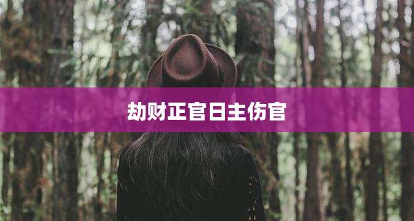 劫财正官日主伤官