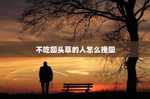 不吃回头草的人怎么挽回