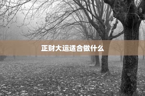 正财大运适合做什么