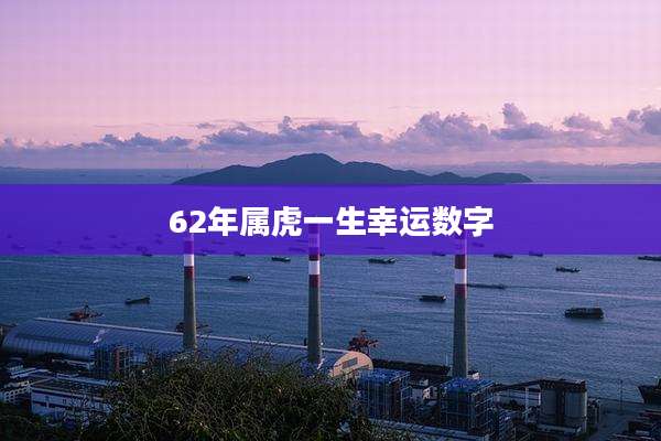 62年属虎一生幸运数字