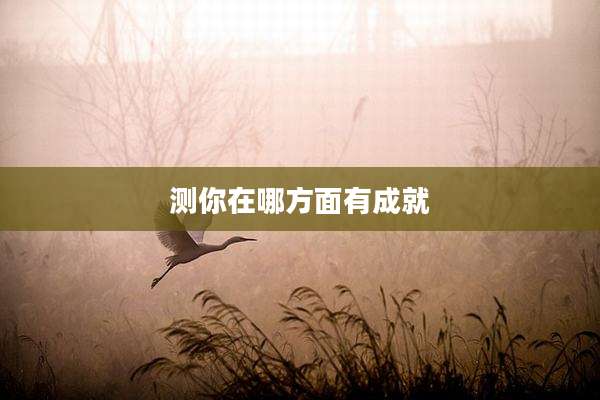 测你在哪方面有成就