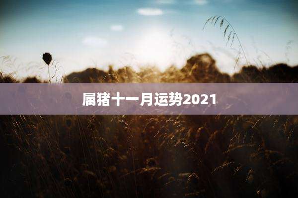 属猪十一月运势2021