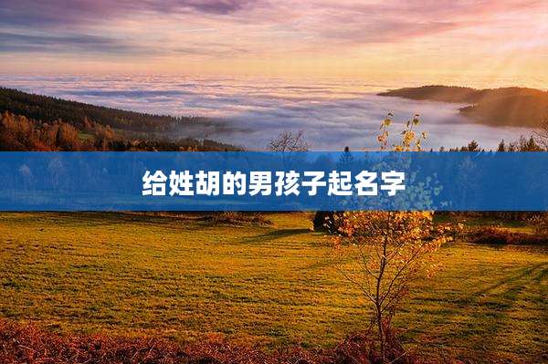 给姓胡的男孩子起名字